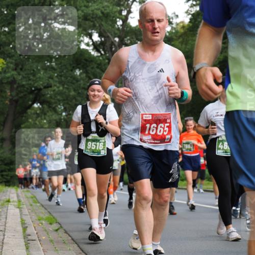 13.09.2026 - 21. swb-Marathon Bremen TobiasT http://msf.ph/oto/10286160 13.09.2026 12:16:56 Laufen 9516, 1665, 1265, 7663, 46 meine-sportfotos.de