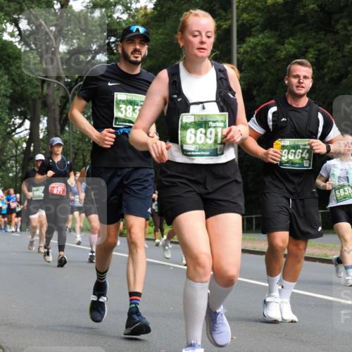 13.09.2026 - 21. swb-Marathon Bremen TobiasT http://msf.ph/oto/10287159 13.09.2026 12:20:37 Laufen 906, 971, 383, 66912, 9664, 5638 meine-sportfotos.de