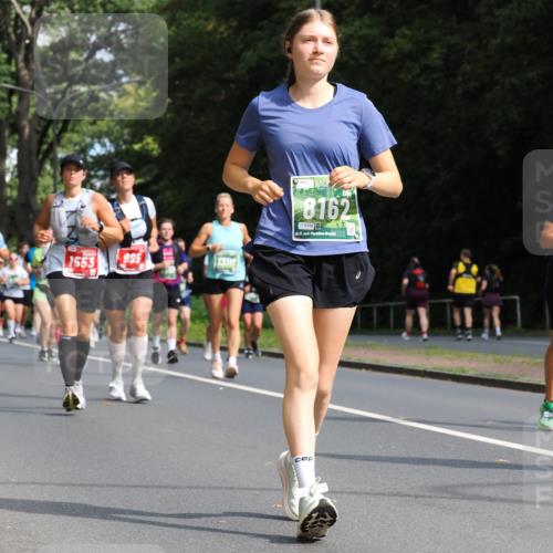 13.09.2026 - 21. swb-Marathon Bremen TobiasT http://msf.ph/oto/10287187 13.09.2026 12:20:48 Laufen 1553, 995, 8162, 9249, 21, 026 meine-sportfotos.de
