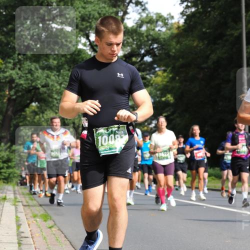 13.09.2026 - 21. swb-Marathon Bremen TobiasT http://msf.ph/oto/10287194 13.09.2026 12:20:51 Laufen 100 meine-sportfotos.de