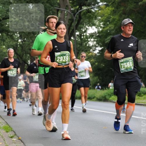 13.09.2026 - 21. swb-Marathon Bremen TobiasT http://msf.ph/oto/10287829 13.09.2026 12:23:13 Laufen 4437, 2939, 8405, 7566 meine-sportfotos.de