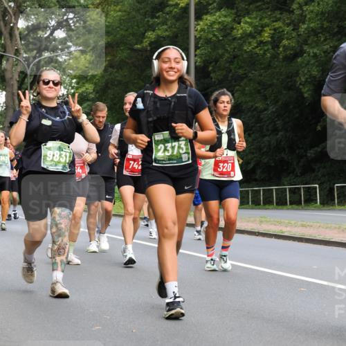 13.09.2026 - 21. swb-Marathon Bremen TobiasT http://msf.ph/oto/10288347 13.09.2026 12:24:37 Laufen 9831, 742, 2373, 320 meine-sportfotos.de