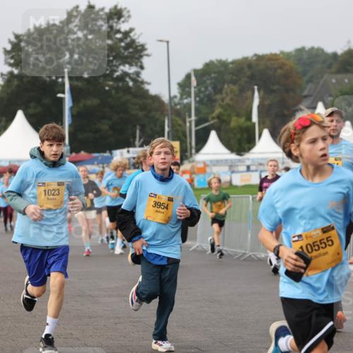 13.09.2026 - Kiel Lauf Andreas Tolksdorf http://msf.ph/oto/10291463 13.09.2026 09:25:15 Kiellinie 38, 1023, 48, 3954, 3844, 10555, 3416 meine-sportfotos.de