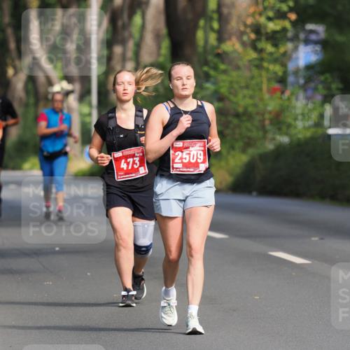 13.09.2026 - 21. swb-Marathon Bremen TobiasT http://msf.ph/oto/10292264 13.09.2026 12:48:12 Laufen 473, 2509, 21 meine-sportfotos.de