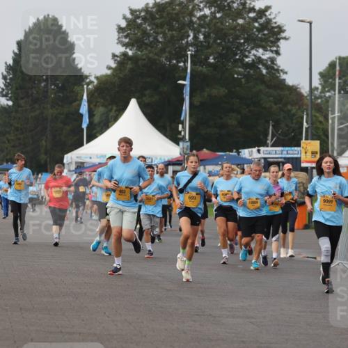 13.09.2026 - Kiel Lauf Andreas Tolksdorf http://msf.ph/oto/10294063 13.09.2026 09:25:54 Kiellinie 36, 13, 10685, 402, 469, 699, 10009, 9091, 998, 10445 meine-sportfotos.de