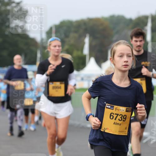 13.09.2026 - Kiel Lauf Andreas Tolksdorf http://msf.ph/oto/10294152 13.09.2026 09:26:12 Kiellinie 2954, 6739, 5, 1 meine-sportfotos.de