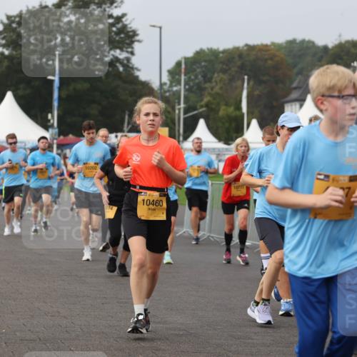 13.09.2026 - Kiel Lauf Andreas Tolksdorf http://msf.ph/oto/10294180 13.09.2026 09:26:16 Kiellinie 10202, 69, 814, 10460, 10731, 2, 4, 39, 2069 meine-sportfotos.de
