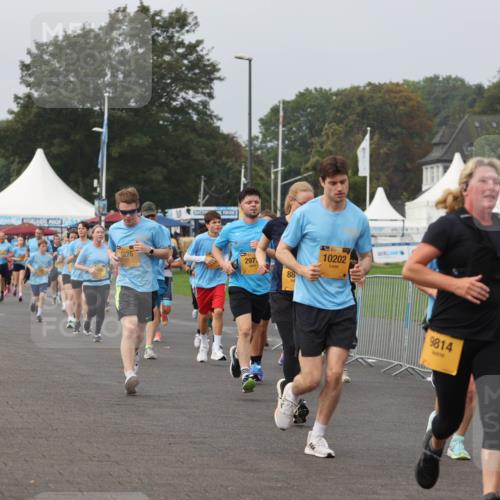 13.09.2026 - Kiel Lauf Andreas Tolksdorf http://msf.ph/oto/10294197 13.09.2026 09:26:19 Kiellinie 5276, 297, 88, 10202, 9814, 1073 meine-sportfotos.de