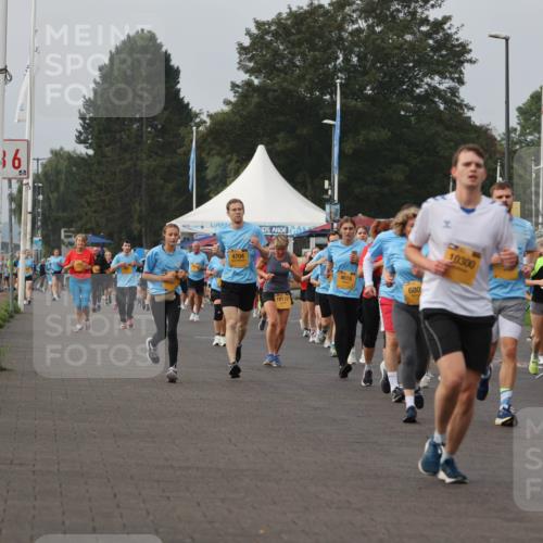 13.09.2026 - Kiel Lauf Andreas Tolksdorf http://msf.ph/oto/10294347 13.09.2026 09:26:42 Kiellinie 36, 4704, 10177, 4615, 680, 10300, 7572 meine-sportfotos.de