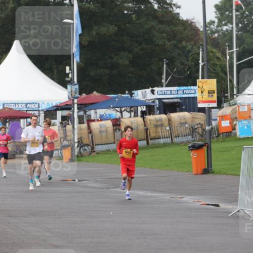 13.09.2026 - Kiel Lauf Andreas Tolksdorf http://msf.ph/oto/10295708 13.09.2026 09:21:52 Kiellinie 12832, 9610, 3678, 3679 meine-sportfotos.de