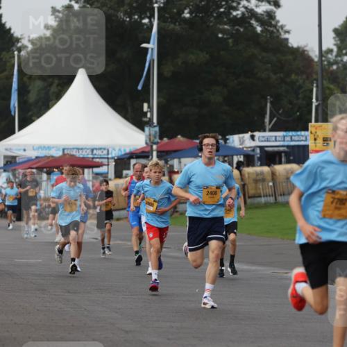 13.09.2026 - Kiel Lauf Andreas Tolksdorf http://msf.ph/oto/10295827 13.09.2026 09:22:39 Kiellinie 12726, 8658, 10778, 3900, 2408, 1546 meine-sportfotos.de