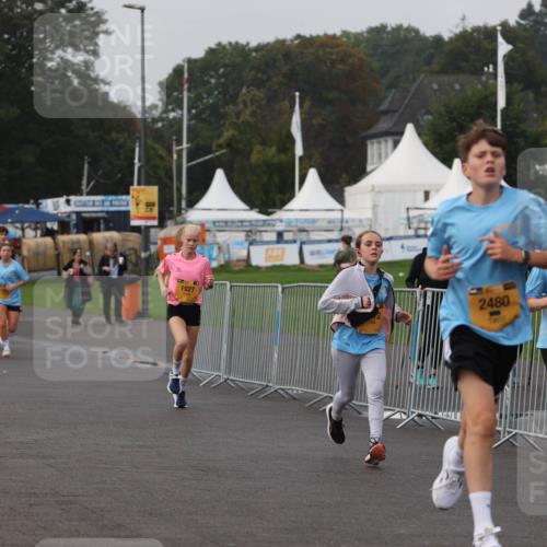 13.09.2026 - Kiel Lauf Andreas Tolksdorf http://msf.ph/oto/10296109 13.09.2026 09:23:39 Kiellinie 1927, 2480, 2546 meine-sportfotos.de