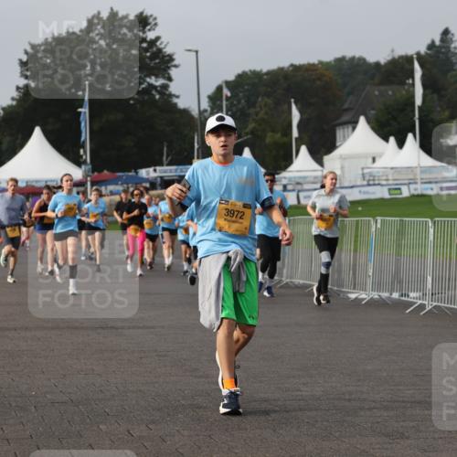 13.09.2026 - Kiel Lauf Andreas Tolksdorf http://msf.ph/oto/10296554 13.09.2026 09:25:05 Kiellinie 39, 3972, 38, 445, 1110 meine-sportfotos.de