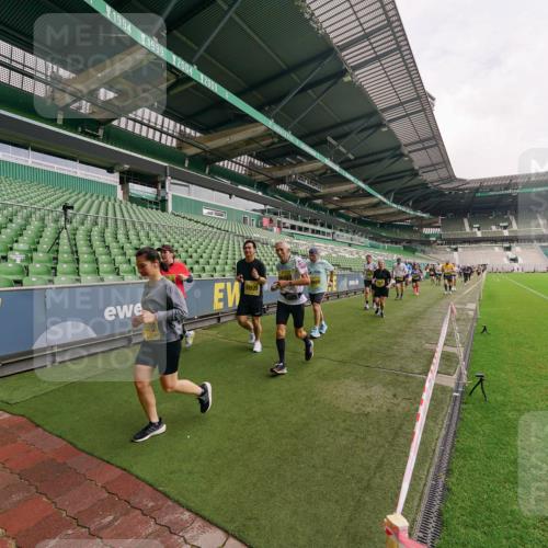 13.09.2026 - 21. swb-Marathon Bremen Michael Burmester http://msf.ph/oto/10300616 13.09.2026 10:41:04 Laufen im Stadion 10155, 10156, 10163, 10169, 10213, 10234, 10247, 10299, 10313, 10321, 10354, 10386, 10399, 10406, 10414, 10417, 10419, 10422, 10424, 10435, 10455, 10461, 10462, 10483, 10484, 10527, 10545, 10547, 10570, 10580, 10582, 10586, 10599, 10611, 10644, 10653, 10694, 10696, 10705, 10706, 10719, 10722, 10737, 10751, 10766, 10768, 10776, 10804, 10859, 10889, 11043, 11048, 11239 meine-sportfotos.de