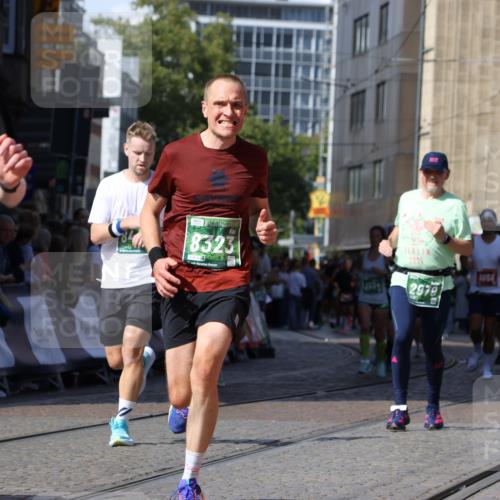 13.09.2026 - 21. swb-Marathon Bremen Strokosch-Dieckow http://msf.ph/oto/10300698 13.09.2026 13:21:09 Ziel 541, 769, 876, 1056, 1881, 2425, 2640, 3356, 3866, 4126, 4316, 4465, 4482, 4612, 5161, 5213, 5954, 6177, 6401, 6680, 7517, 7902, 8005, 8141, 8804, 8971, 9691, 13126, 226, 2979, 3534, 4234, 4445, 4484, 4519, 8323, 8408, 8791, 9514, 9900 meine-sportfotos.de