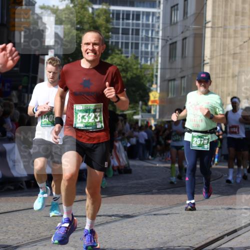 13.09.2026 - 21. swb-Marathon Bremen Strokosch-Dieckow http://msf.ph/oto/10300719 13.09.2026 13:21:09 Ziel 541, 769, 876, 1056, 1881, 2425, 2640, 3356, 3866, 4126, 4316, 4465, 4482, 4612, 5161, 5213, 5954, 6177, 6401, 6680, 7517, 7902, 8005, 8141, 8804, 8971, 9691, 13126, 226, 2979, 3534, 4234, 4445, 4484, 4519, 8323, 8408, 8791, 9514, 9900 meine-sportfotos.de