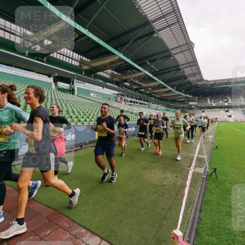 13.09.2026 - 21. swb-Marathon Bremen Michael Burmester http://msf.ph/oto/10300725 13.09.2026 10:41:31 Laufen im Stadion 10148, 10155, 10163, 10169, 10213, 10247, 10299, 10313, 10321, 10354, 10395, 10396, 10399, 10406, 10414, 10417, 10419, 10422, 10424, 10435, 10455, 10461, 10462, 10483, 10519, 10527, 10545, 10546, 10547, 10570, 10582, 10586, 10611, 10644, 10694, 10696, 10705, 10706, 10719, 10722, 10766, 10768, 10776, 10804, 10859, 10889, 10909, 10963, 10977, 11043, 11048, 11084, 11085, 11097, 11098, 11239 meine-sportfotos.de