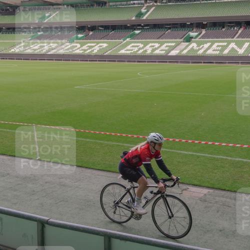 13.09.2026 - 21. swb-Marathon Bremen Michael Burmester http://msf.ph/oto/10305752 13.09.2026 12:00:54 Laufen im Stadion 1956 meine-sportfotos.de