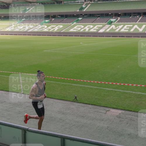 13.09.2026 - 21. swb-Marathon Bremen Michael Burmester http://msf.ph/oto/10305777 13.09.2026 12:01:28 Laufen im Stadion 1956 meine-sportfotos.de