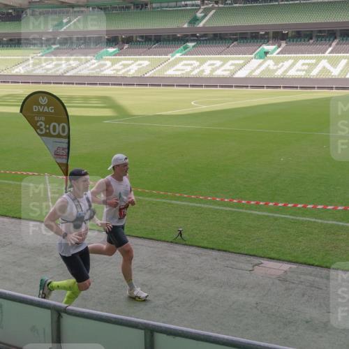 13.09.2026 - 21. swb-Marathon Bremen Michael Burmester http://msf.ph/oto/10305975 13.09.2026 12:12:21 Laufen im Stadion 317, 443, 614, 796, 1651, 692 meine-sportfotos.de