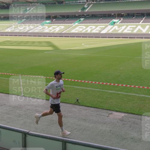13.09.2026 - 21. swb-Marathon Bremen Michael Burmester http://msf.ph/oto/10306036 13.09.2026 12:14:08 Laufen im Stadion 245, 317, 540, 822, 1149, 1046, 1651, 1671, 2054 meine-sportfotos.de
