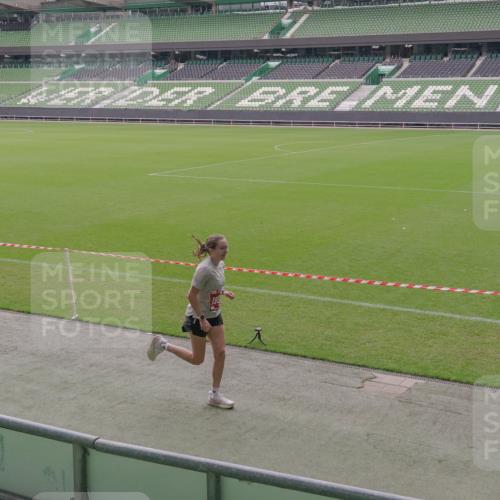 13.09.2026 - 21. swb-Marathon Bremen Michael Burmester http://msf.ph/oto/10306232 13.09.2026 12:20:43 Laufen im Stadion 634, 642, 1957, 513, 917, 1154, 1190, 1192, 1263 meine-sportfotos.de