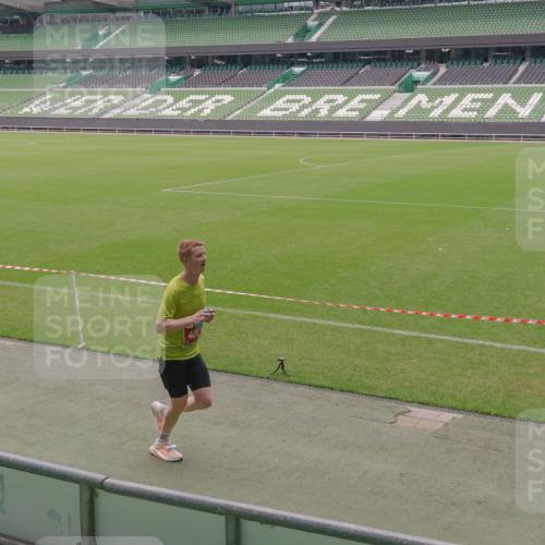 13.09.2026 - 21. swb-Marathon Bremen Michael Burmester http://msf.ph/oto/10306608 13.09.2026 12:27:34 Laufen im Stadion 103, 206, 238, 322, 358, 420, 553, 574, 841, 875, 1161, 1253, 1256, 1352, 1525, 1724, 1783, 1917, 2032, 3662, 4264, 129, 149, 289, 798, 1313, 1483, 1490, 1544, 1567 meine-sportfotos.de