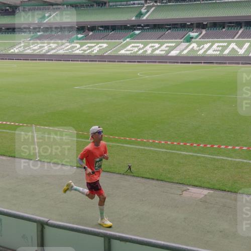13.09.2026 - 21. swb-Marathon Bremen Michael Burmester http://msf.ph/oto/10306942 13.09.2026 12:30:16 Laufen im Stadion 314, 520, 547, 858, 934, 1168, 1214, 1357, 1453, 1639, 5212, 6485, 103, 206, 238, 322, 420, 447, 841, 875, 1187, 1352, 1840, 2032, 2044, 2143 meine-sportfotos.de