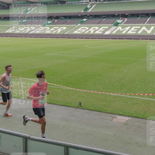 13.09.2026 - 21. swb-Marathon Bremen Michael Burmester http://msf.ph/oto/10307918 13.09.2026 12:38:42 Laufen im Stadion 277, 346, 466, 658, 807, 895, 901, 1090, 1118, 1248, 1320, 1323, 1472, 1576, 1587, 1604, 1717, 1751, 1754, 1758, 1795, 1800, 1911, 2049, 2099, 2141, 2352, 2585, 2670, 3080, 3606, 5160, 5163, 5912, 6112, 7650, 8077, 8081, 8467, 9399, 9522, 9617, 250, 272, 919, 1089, 1550, 1875, 1993, 4232, 7692, 13033 meine-sportfotos.de