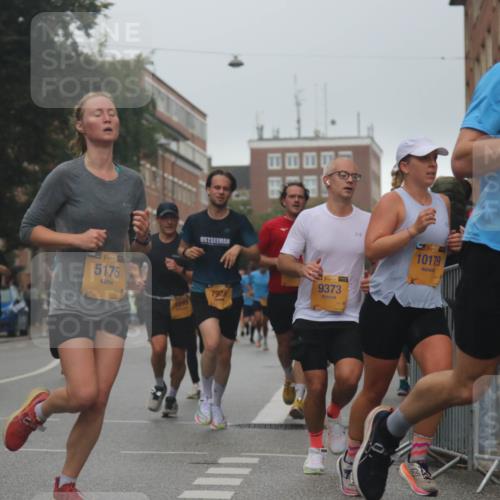 13.09.2026 - Kiel Lauf Markus Tischler http://msf.ph/oto/10308339 13.09.2026 10:32:22 Fleethörn 39, 5175, 7925, 1, 39, 9373, 10179, 7378 meine-sportfotos.de