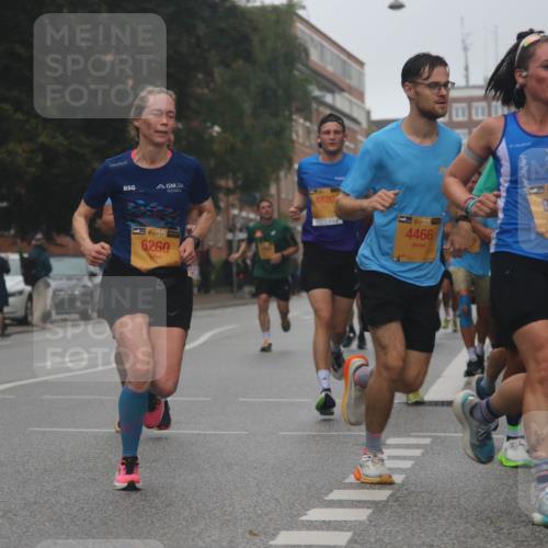 13.09.2026 - Kiel Lauf Markus Tischler http://msf.ph/oto/10308648 13.09.2026 10:32:50 Fleethörn 38, 6260, 4820, 4466, 18, 868 meine-sportfotos.de
