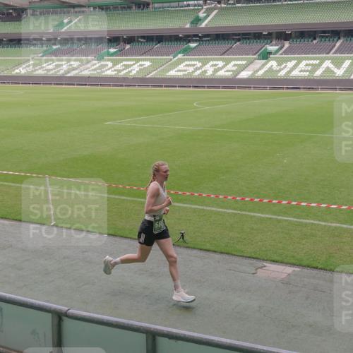 13.09.2026 - 21. swb-Marathon Bremen Michael Burmester http://msf.ph/oto/10309245 13.09.2026 12:42:29 Laufen im Stadion 439, 749, 957, 1009, 1223, 1224, 1411, 1562, 1614, 1619, 1667, 1712, 1745, 1797, 1822, 1850, 1862, 1879, 1921, 2094, 2207, 2651, 2683, 2986, 3251, 3368, 3584, 3624, 4096, 4399, 4795, 4847, 5316, 5663, 5672, 5828, 6198, 6264, 6929, 6991, 7141, 8065, 8311, 8383, 8394, 8749, 8994, 9065, 9120, 9200, 9533, 277, 346, 807, 895, 901, 1118, 1248, 1320, 1323, 1472, 1576, 1587, 1604, 1717, 1751, 1911, 2141, 2352, 2670, 3080, 3606, 5160, 5163, 5912, 6112, 7650 meine-sportfotos.de