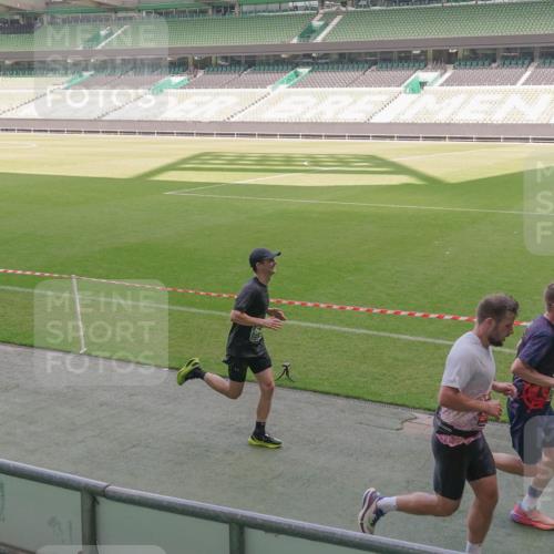 13.09.2026 - 21. swb-Marathon Bremen Michael Burmester http://msf.ph/oto/10310009 13.09.2026 12:44:01 Laufen im Stadion 339, 439, 493, 623, 678, 681, 715, 749, 819, 969, 1223, 1224, 1301, 1335, 1372, 1498, 1562, 1696, 1712, 1745, 1770, 1879, 1921, 1975, 2098, 2651, 2683, 3251, 3500, 3584, 3688, 4096, 4118, 4328, 4739, 4847, 4904, 5143, 5199, 5316, 5369, 5601, 5663, 5776, 5996, 6359, 6579, 6973, 7015, 7170, 7206, 7265, 7715, 7841, 7950, 8028, 8689, 8749, 8850, 8994, 9120, 9137, 9153, 9200, 9233, 9533, 9849, 13063, 13237, 126, 371, 453, 603, 640, 650, 671, 735, 744, 807, 862, 912, 957, 1136, 1336 meine-sportfotos.de