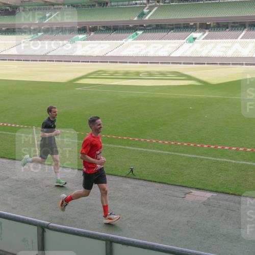 13.09.2026 - 21. swb-Marathon Bremen Michael Burmester http://msf.ph/oto/10310892 13.09.2026 12:45:49 Laufen im Stadion 195, 280, 339, 474, 493, 508, 538, 567, 604, 697, 715, 788, 1017, 1034, 1181, 1241, 1264, 1277, 1301, 1335, 1696, 1863, 1937, 1975, 2020, 2084, 2087, 2297, 2809, 2889, 3092, 3271, 3609, 4110, 4118, 4157, 4328, 5024, 5092, 5238, 5283, 5674, 5719, 5996, 6918, 7206, 7265, 7336, 7478, 7715, 8054, 8096, 8319, 8325, 8331, 8670, 8701, 8756, 8936, 9070, 9129, 9273, 9306, 9495, 9583, 9642, 13168, 439, 1411, 1667, 1822 meine-sportfotos.de
