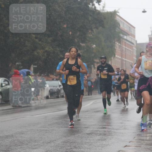 13.09.2026 - Kiel Lauf Markus Tischler http://msf.ph/oto/10312938 13.09.2026 10:39:48 Fleethörn 7363, 113, 39, 1445 meine-sportfotos.de