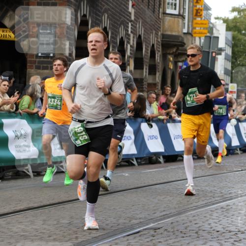 13.09.2026 - 21. swb-Marathon Bremen Strokosch-Dieckow http://msf.ph/oto/10314561 13.09.2026 13:05:57 Ziel 1017, 1301, 1562, 1879, 2538, 3242, 3271, 5199, 5725, 6025, 6579, 7141, 8973, 681, 3297, 3466, 4614, 4712, 5803, 6686, 7336, 7399, 8334, 8670, 8983, 9429, 9918 meine-sportfotos.de
