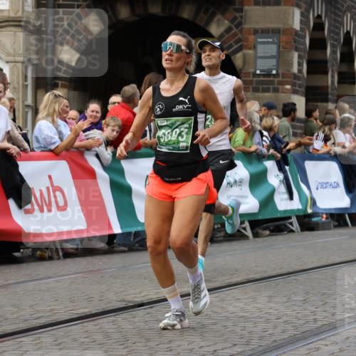 13.09.2026 - 21. swb-Marathon Bremen Strokosch-Dieckow http://msf.ph/oto/10314905 13.09.2026 13:06:01 Ziel 1017, 1301, 1562, 1745, 1879, 2538, 3242, 3271, 3520, 4157, 5199, 5725, 6025, 6579, 8706, 8973, 9010, 681, 1901, 3297, 3466, 4614, 6686, 7336, 8670, 9429 meine-sportfotos.de