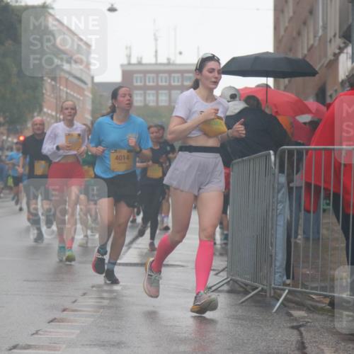 13.09.2026 - Kiel Lauf Markus Tischler http://msf.ph/oto/10315539 13.09.2026 10:44:49 Fleethörn 1, 39, 7040, 4014 meine-sportfotos.de