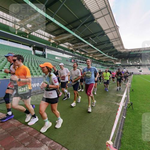 13.09.2026 - 21. swb-Marathon Bremen Michael Burmester http://msf.ph/oto/10319736 13.09.2026 13:18:48 Laufen im Stadion 311, 333, 404, 486, 512, 546, 732, 753, 837, 921, 938, 1424, 1425, 1431, 1506, 1765, 1790, 1844, 1868, 2056, 2123, 2137, 2224, 2240, 2294, 2315, 2357, 2358, 2389, 2419, 2453, 2557, 2563, 2601, 2614, 2622, 2647, 2689, 2702, 2703, 2786, 2843, 2845, 2849, 2857, 2879, 2880, 2893, 2944, 2983, 2984, 2999, 3031, 3046, 3072, 3096, 3100, 3146, 3180, 3189, 3198, 3210, 3285, 3287, 3337, 3421, 3431, 3476, 3537, 3548, 3619, 3633, 3654, 3740, 3879, 4478 meine-sportfotos.de