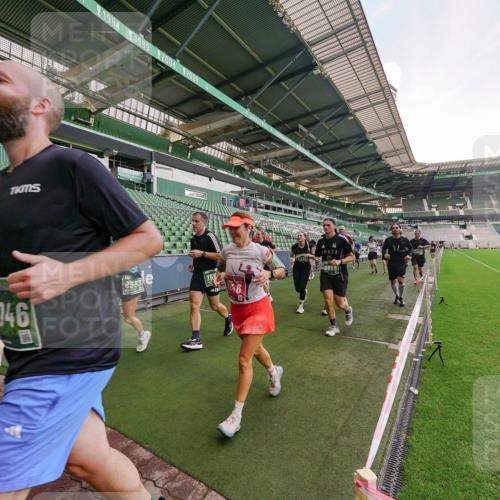 13.09.2026 - 21. swb-Marathon Bremen Michael Burmester http://msf.ph/oto/10320945 13.09.2026 13:20:45 Laufen im Stadion 333, 423, 441, 464, 512, 601, 620, 704, 782, 938, 1066, 1094, 1129, 1156, 1158, 1177, 1316, 1409, 1439, 1446, 1518, 1676, 1697, 1756, 1808, 1815, 1846, 1916, 2010, 2028, 2064, 2139, 2201, 2240, 2258, 2278, 2315, 2349, 2394, 2395, 2414, 2417, 2437, 2501, 2519, 2533, 2551, 2588, 2626, 2689, 2694, 2695, 2702, 2722, 2736, 2756, 2793, 2828, 2886, 2954, 3004, 3010, 3017, 3018, 3035, 3036, 3037, 3059, 3070, 3074, 3102, 3116, 3139, 3144, 3243, 3263, 3264, 3310, 3315 meine-sportfotos.de