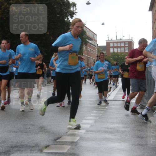 13.09.2026 - Kiel Lauf Markus Tischler http://msf.ph/oto/10322006 13.09.2026 10:56:09 Fleethörn 3000, 993, 8381, 11759 meine-sportfotos.de