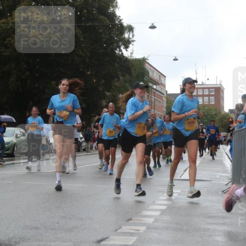 13.09.2026 - Kiel Lauf Markus Tischler http://msf.ph/oto/10322407 13.09.2026 10:57:09 Fleethörn 500, 11126, 3480, 2771 meine-sportfotos.de