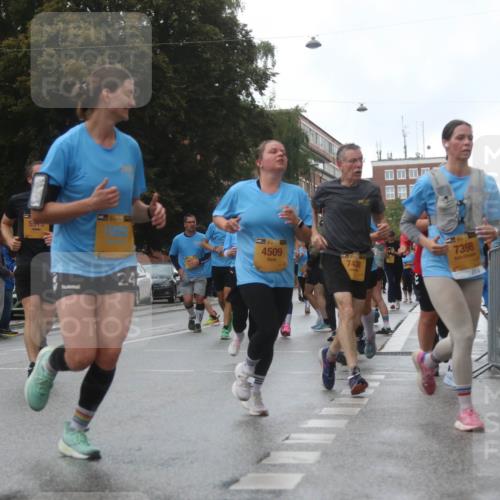 13.09.2026 - Kiel Lauf Markus Tischler http://msf.ph/oto/10322502 13.09.2026 10:57:31 Fleethörn 300, 5515, 1562, 24, 4509, 7438, 7398 meine-sportfotos.de