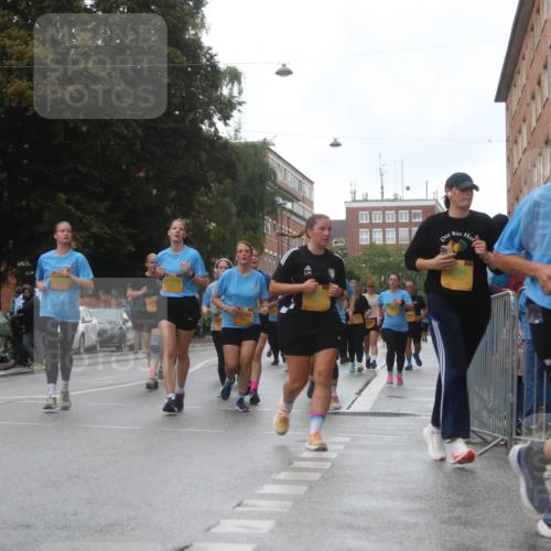 13.09.2026 - Kiel Lauf Markus Tischler http://msf.ph/oto/10322543 13.09.2026 10:57:42 Fleethörn  meine-sportfotos.de