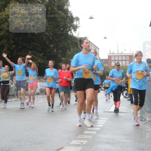 13.09.2026 - Kiel Lauf Markus Tischler http://msf.ph/oto/10322866 13.09.2026 10:58:34 Fleethörn 300, 11581, 11805, 3626, 8576, 11502 meine-sportfotos.de
