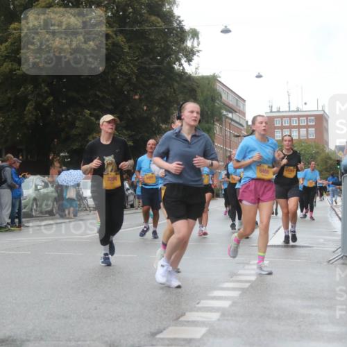 13.09.2026 - Kiel Lauf Markus Tischler http://msf.ph/oto/10323090 13.09.2026 10:59:11 Fleethörn 1018, 3224, 5465, 6408, 11265 meine-sportfotos.de