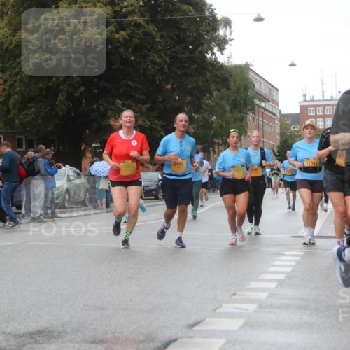 13.09.2026 - Kiel Lauf Markus Tischler http://msf.ph/oto/10323103 13.09.2026 10:59:13 Fleethörn 300, 5, 3224, 112, 12110, 5465, 11547, 1060, 540 meine-sportfotos.de