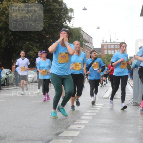 13.09.2026 - Kiel Lauf Markus Tischler http://msf.ph/oto/10323148 13.09.2026 10:59:19 Fleethörn 2958, 955, 709, 2697, 8523, 8343 meine-sportfotos.de