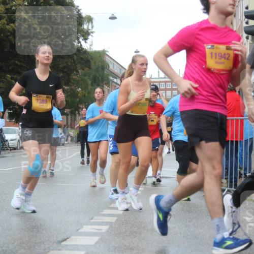 13.09.2026 - Kiel Lauf Markus Tischler http://msf.ph/oto/10323388 13.09.2026 11:00:02 Fleethörn 12578, 7389, 384, 414, 11942, 6878 meine-sportfotos.de