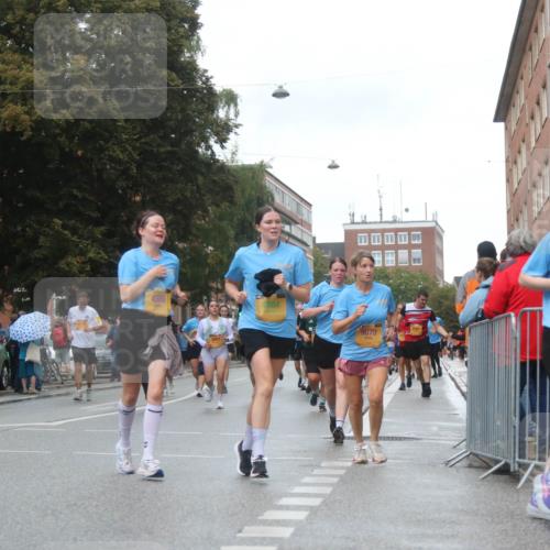 13.09.2026 - Kiel Lauf Markus Tischler http://msf.ph/oto/10323545 13.09.2026 11:00:27 Fleethörn 4986, 4984, 9070, 6969 meine-sportfotos.de